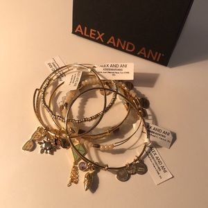 Alex and Ani Girls just wanna have sun bracelet set
